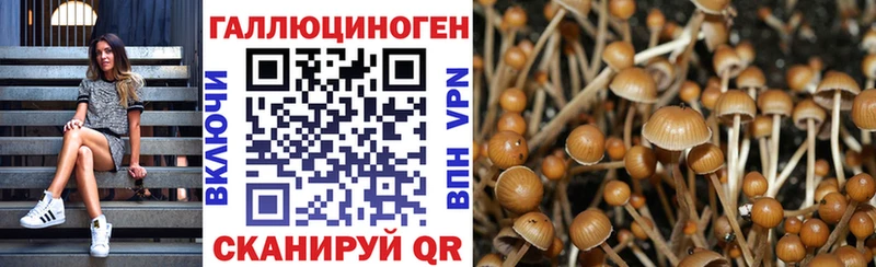 OMG зеркало  как найти наркотики  Пласт  Псилоцибиновые грибы мухоморы 